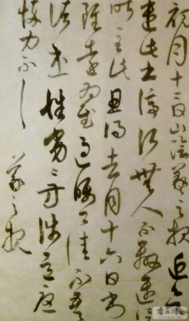 SP_A0017.jpg