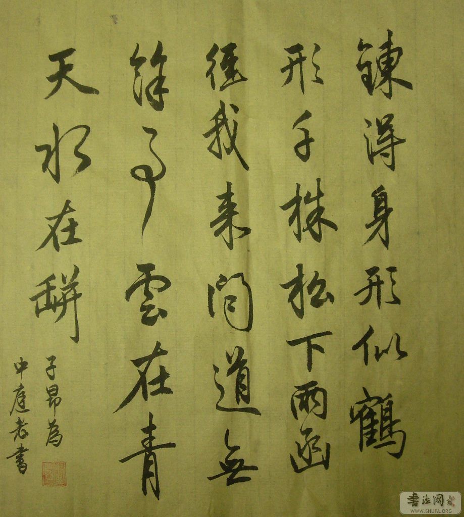 DSC03224.jpg