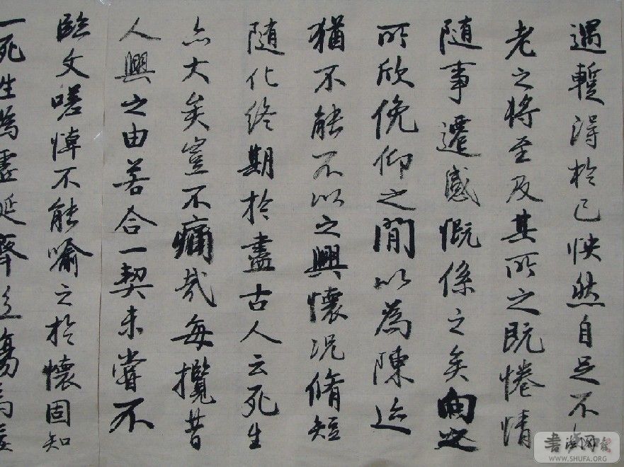 dsc00445.jpg
