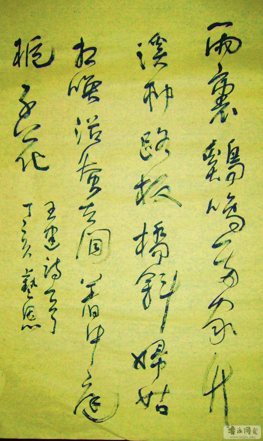 P1120157.JPG