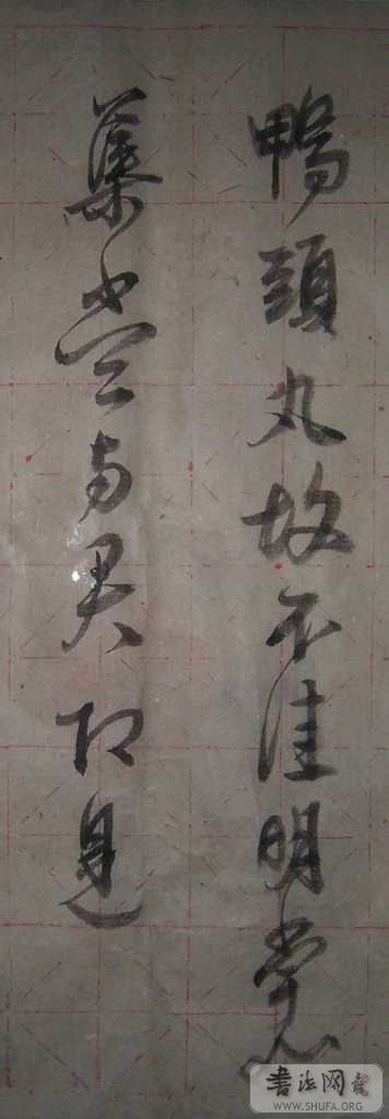 100_1008.jpg