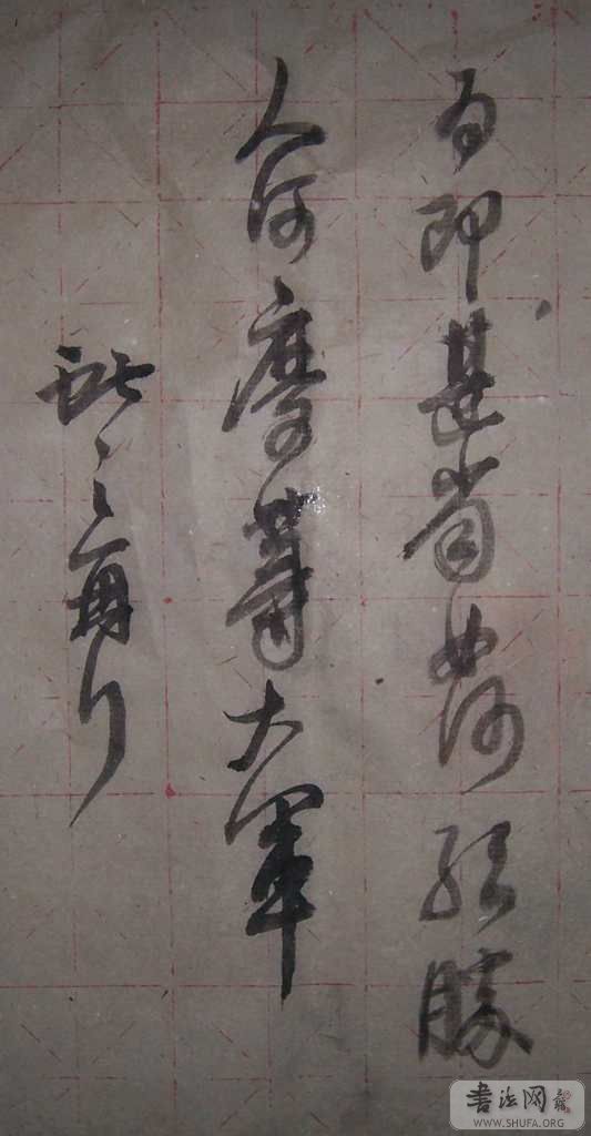 100_1009.jpg