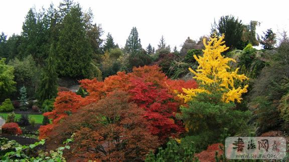 2006_09_19_1111219.jpg