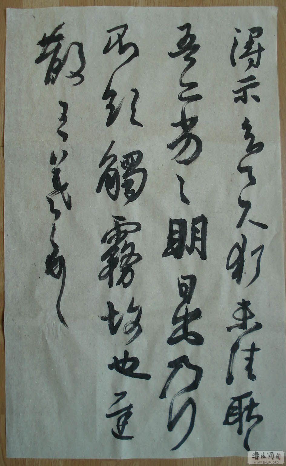 DSC02965-s.jpg