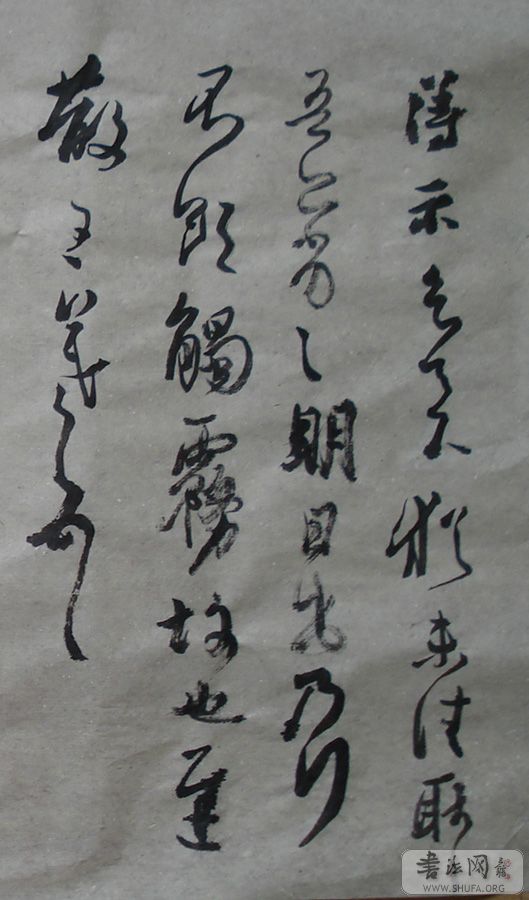 DSC02968-1.jpg