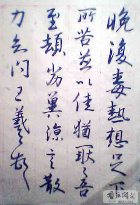 IMG0008A.jpg
