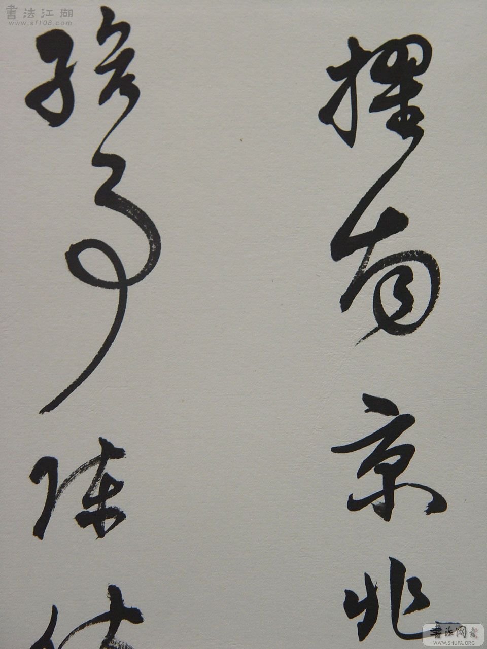 wang5.jpg