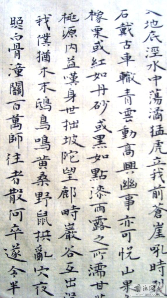 S6000928.JPG