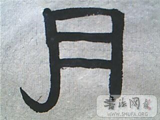 ͼƬ 009.jpg