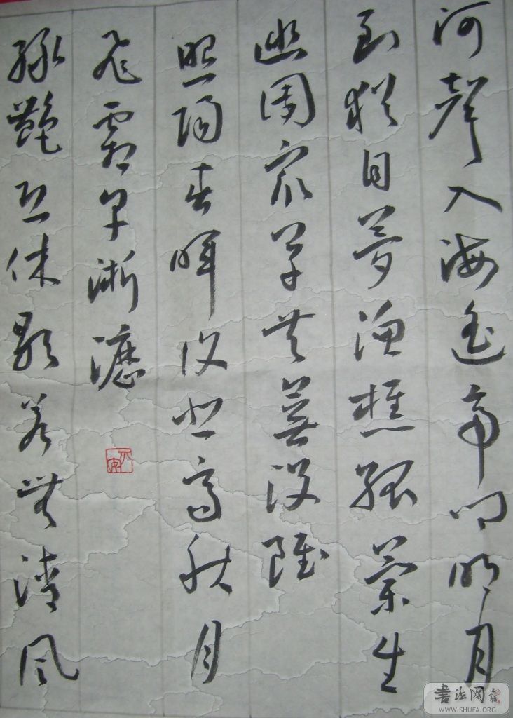 S6000908.JPG