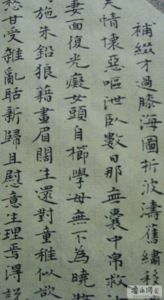 S6000935.JPG