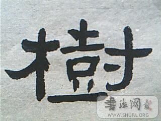 ͼƬ 004.jpg