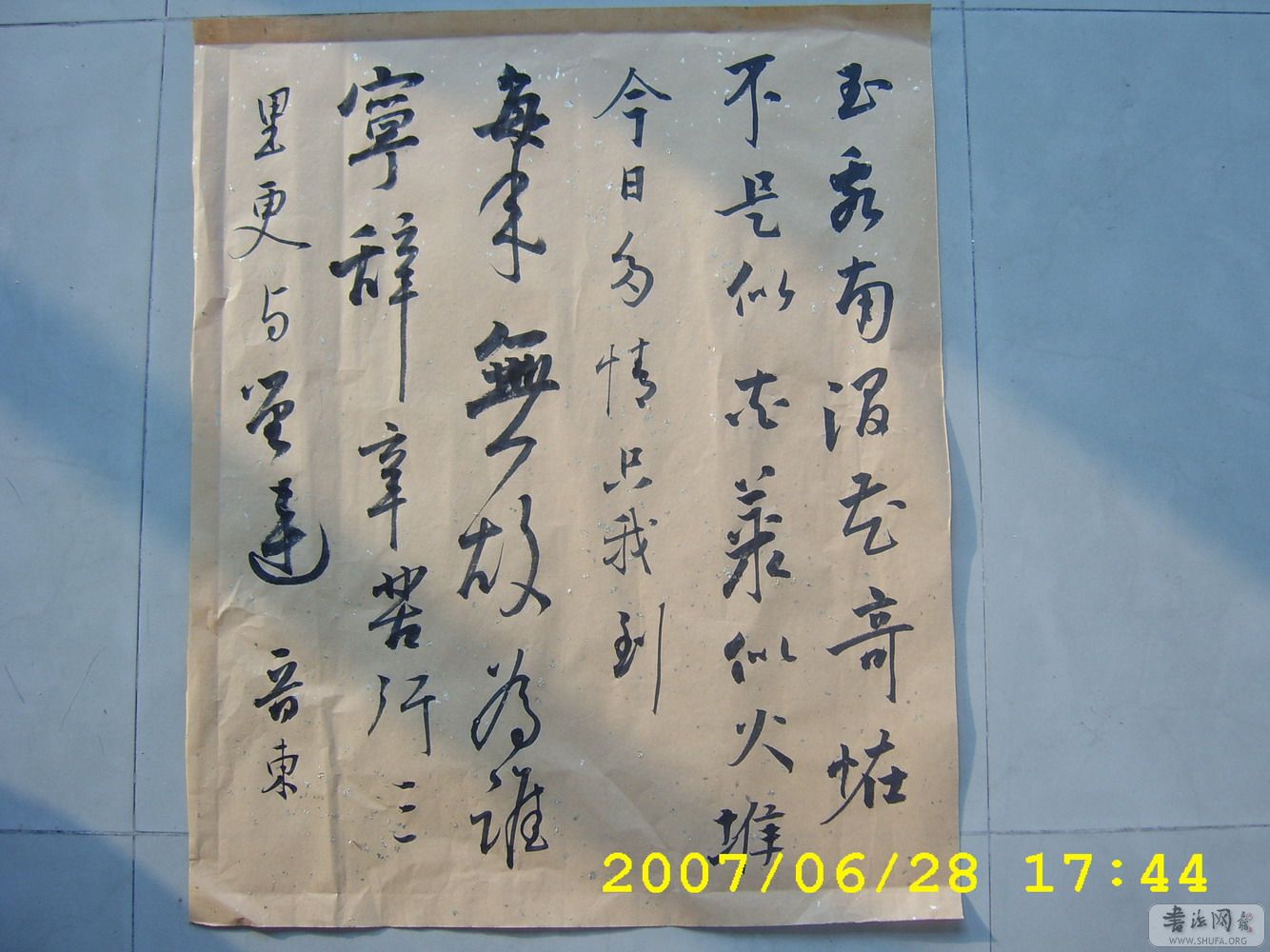 STA61046.JPG