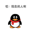 47678.gif