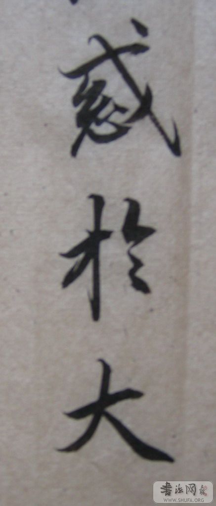 zhaoju3.jpg