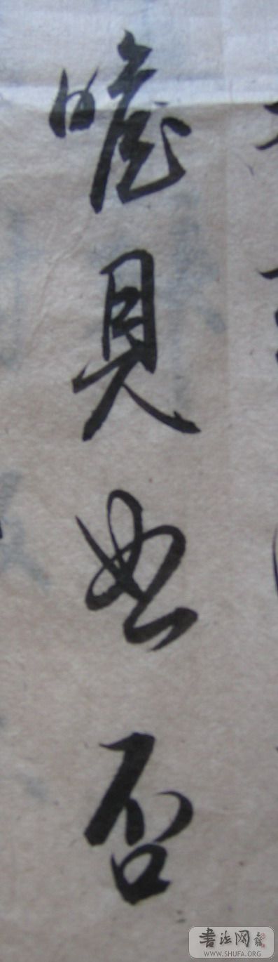 zhaoju1.jpg