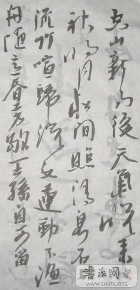 131.JPG
