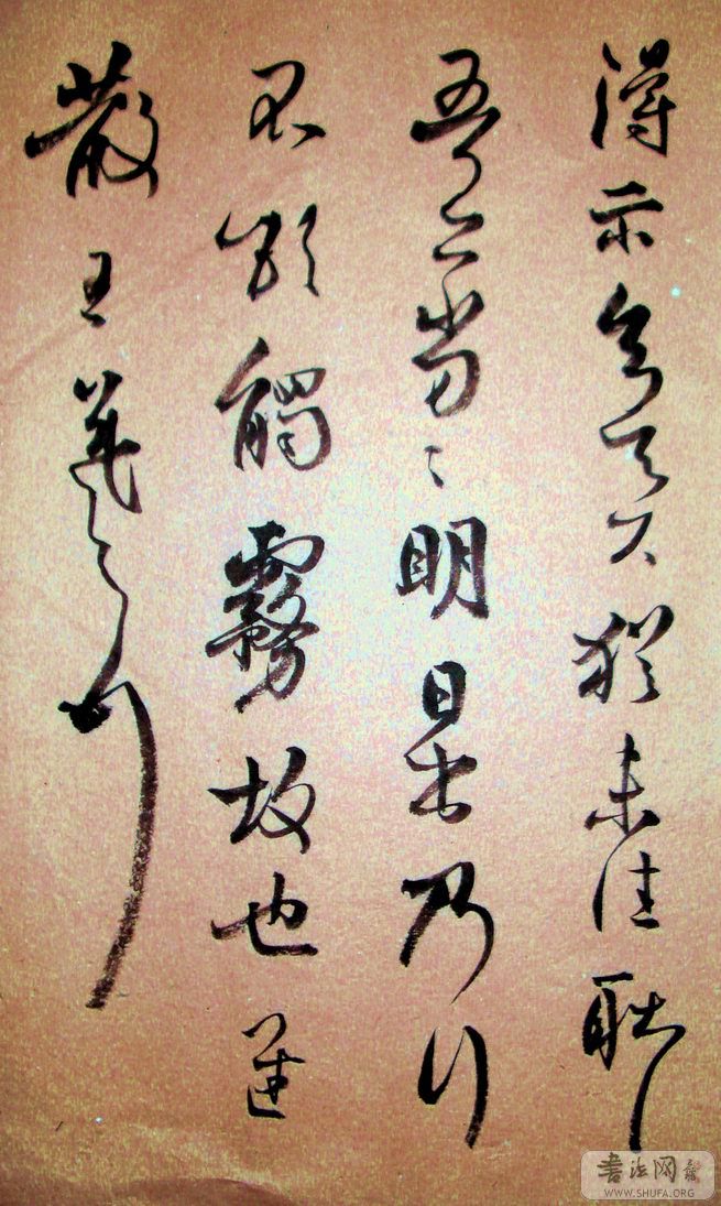 Ƭ 270a.jpg