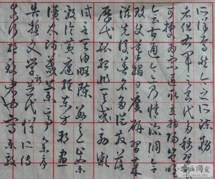 鷨.jpg