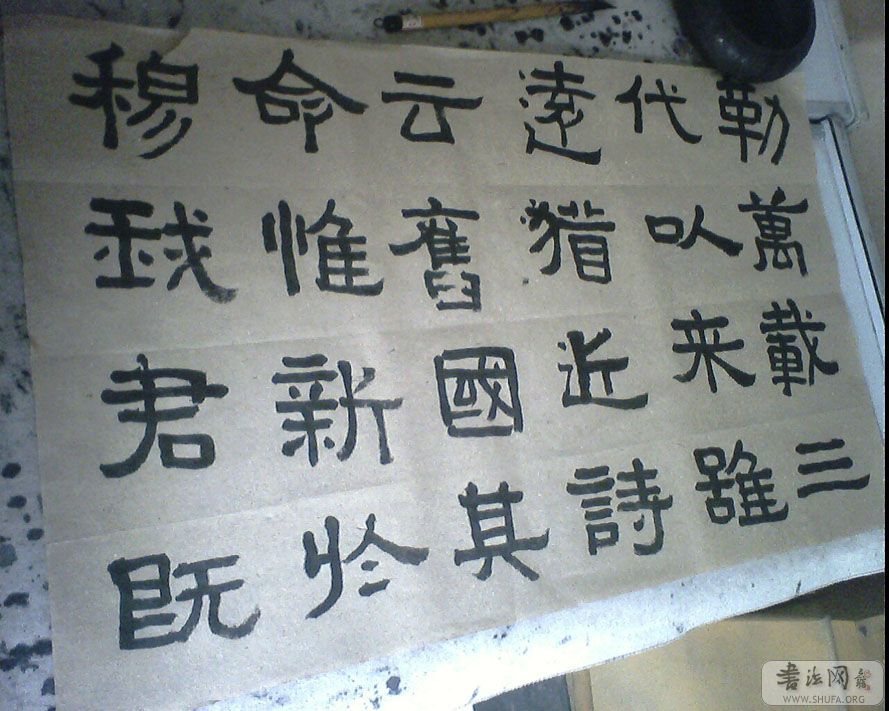 IMG0306A.jpg