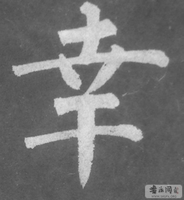 DSC08207.jpg