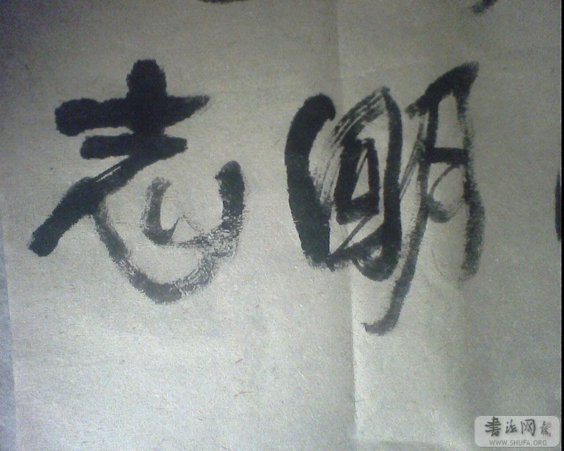 IMG0313A.jpg