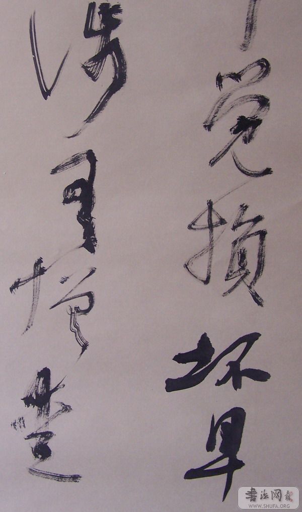 wang 006.jpg