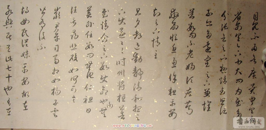 178.jpg