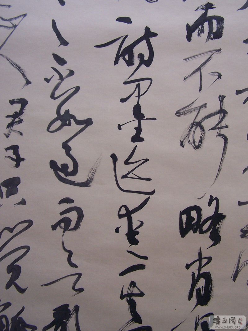 fang 024.jpg