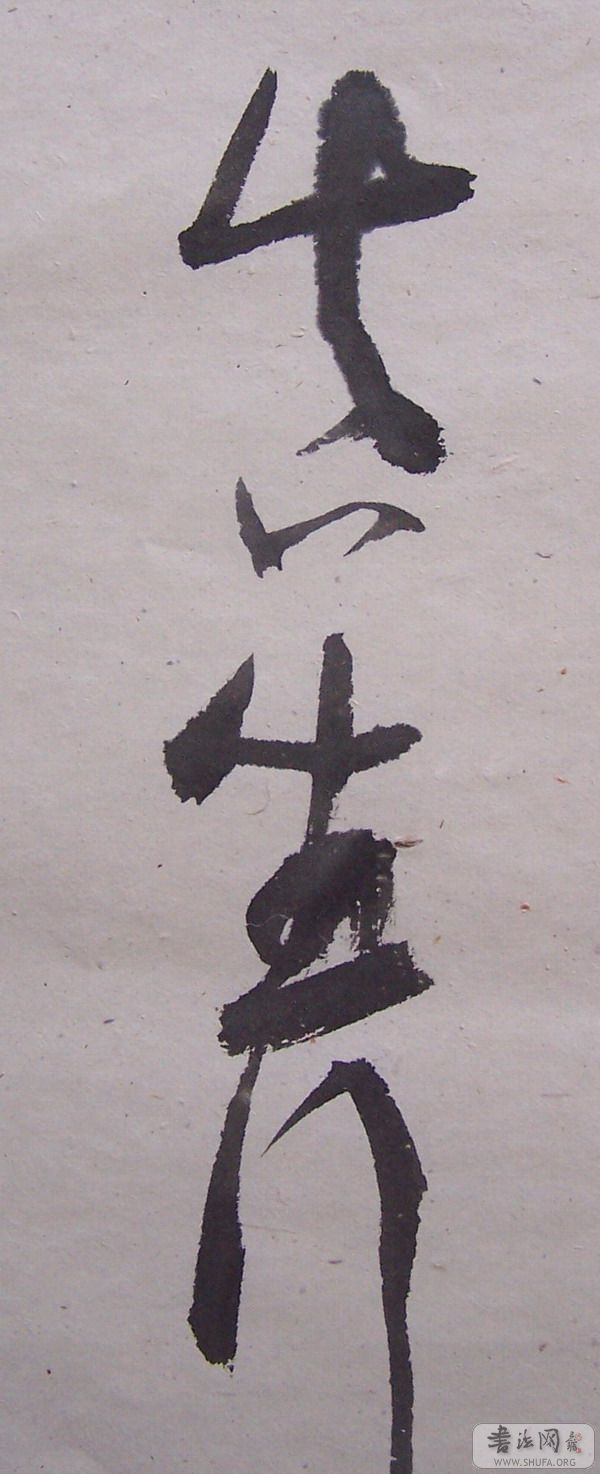 fang 099.jpg