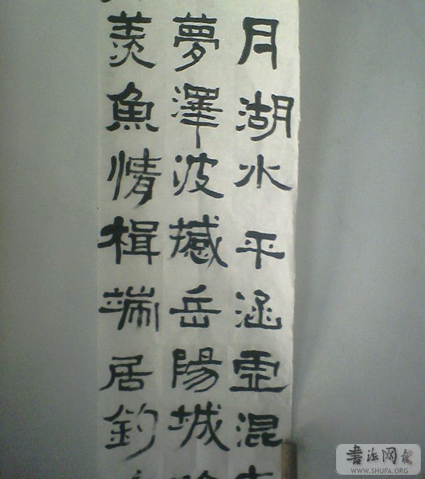 IMG0339A.jpg