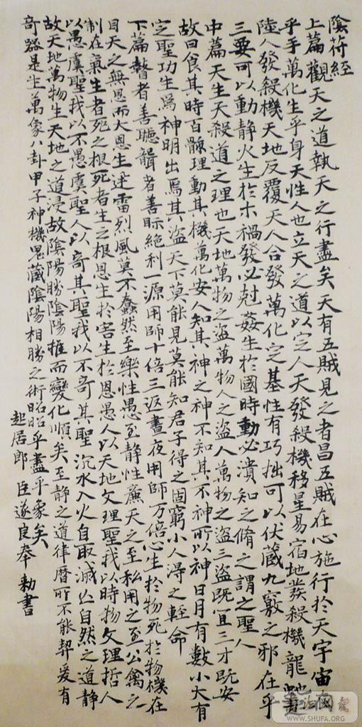 P1000201.jpg