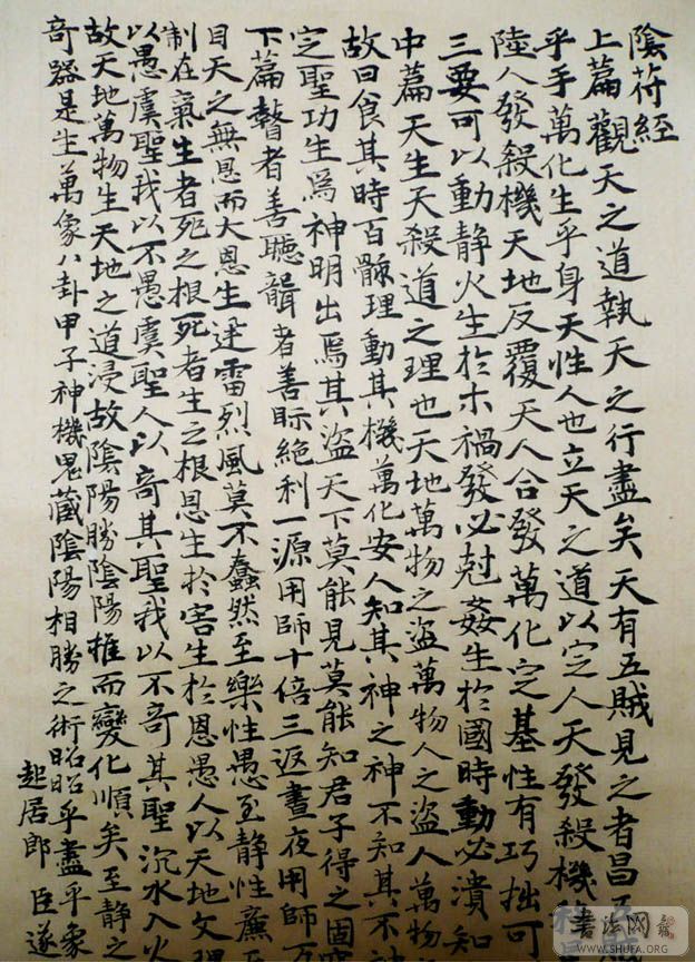 P10002011.jpg