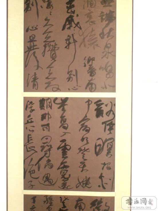 STP60293.JPG