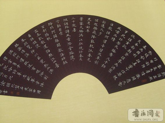 STP60317.JPG