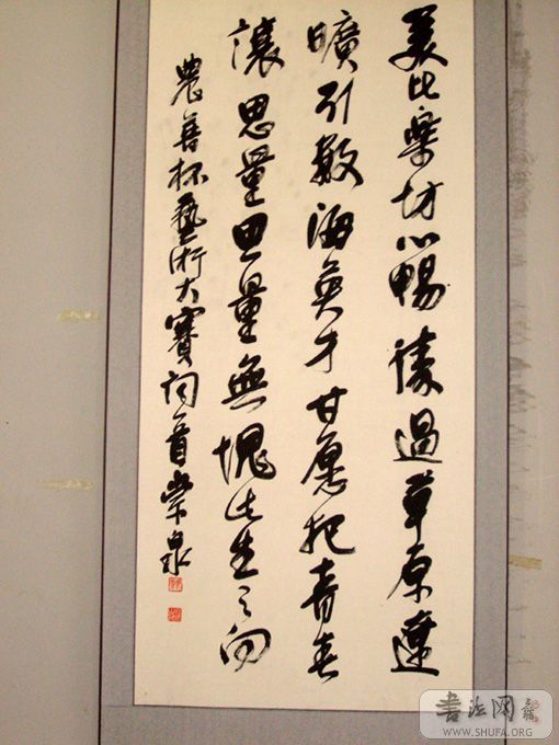 STP60279.JPG
