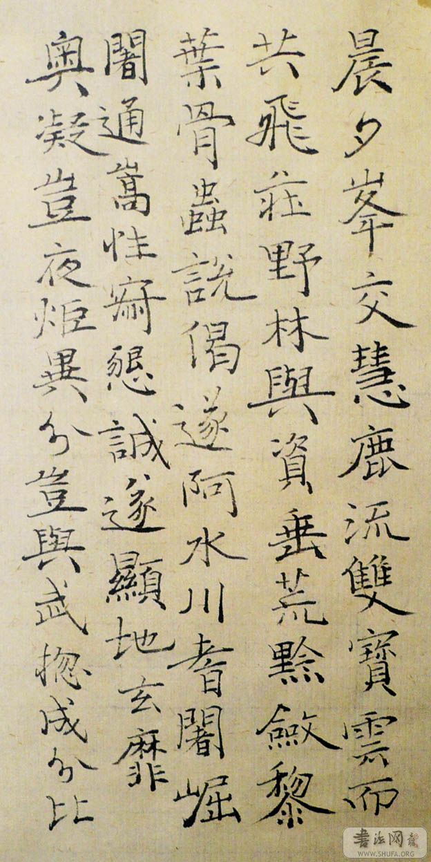 P100011.jpg
