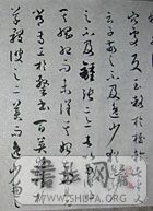 507.jpg