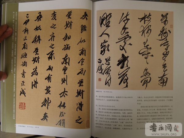 P2106185.JPG