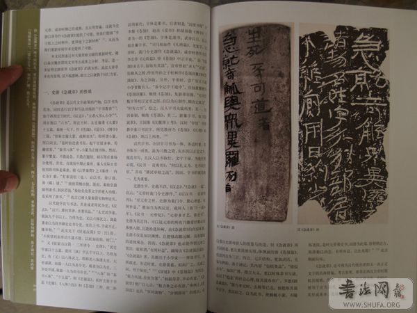 P2106188.JPG