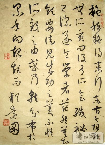 1177.jpg