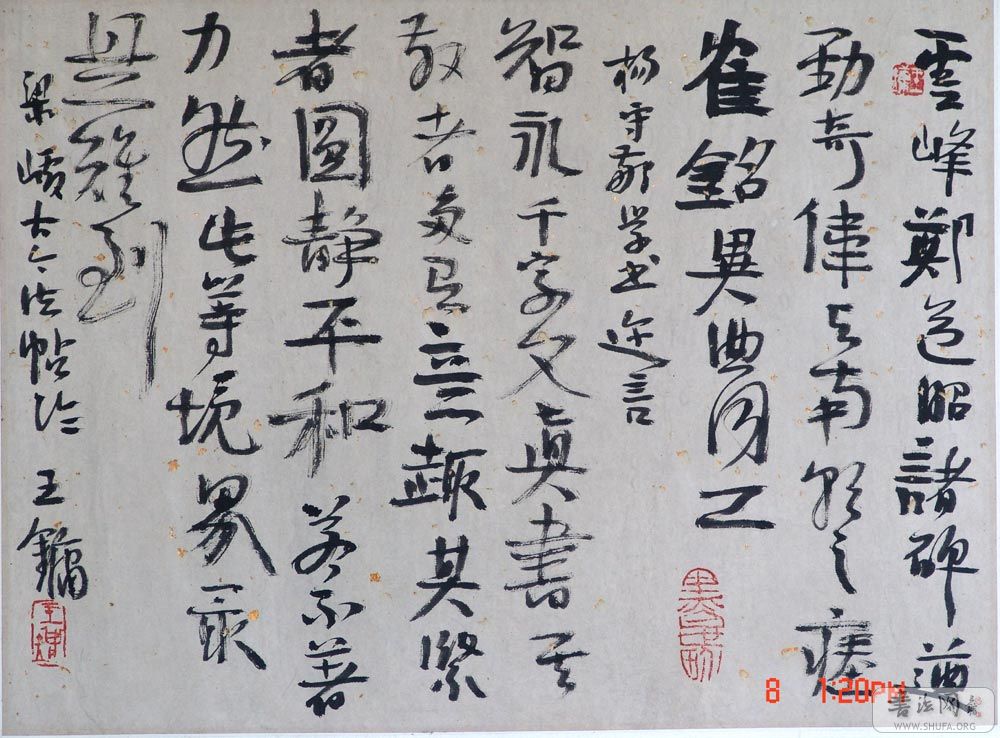 鷨(һ).jpg