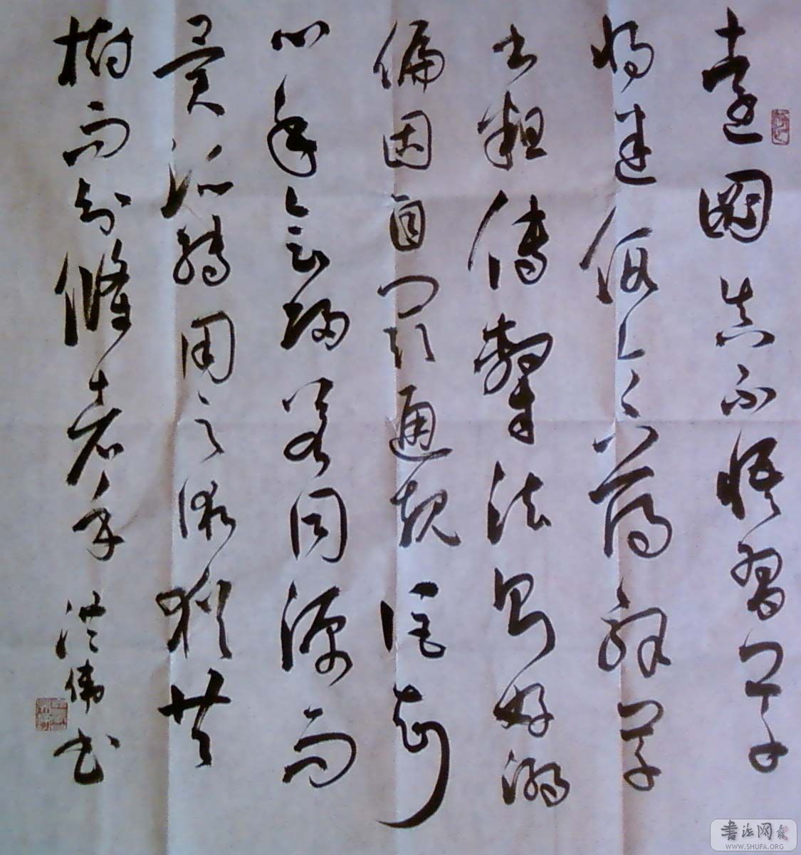 SP_A0107.jpg