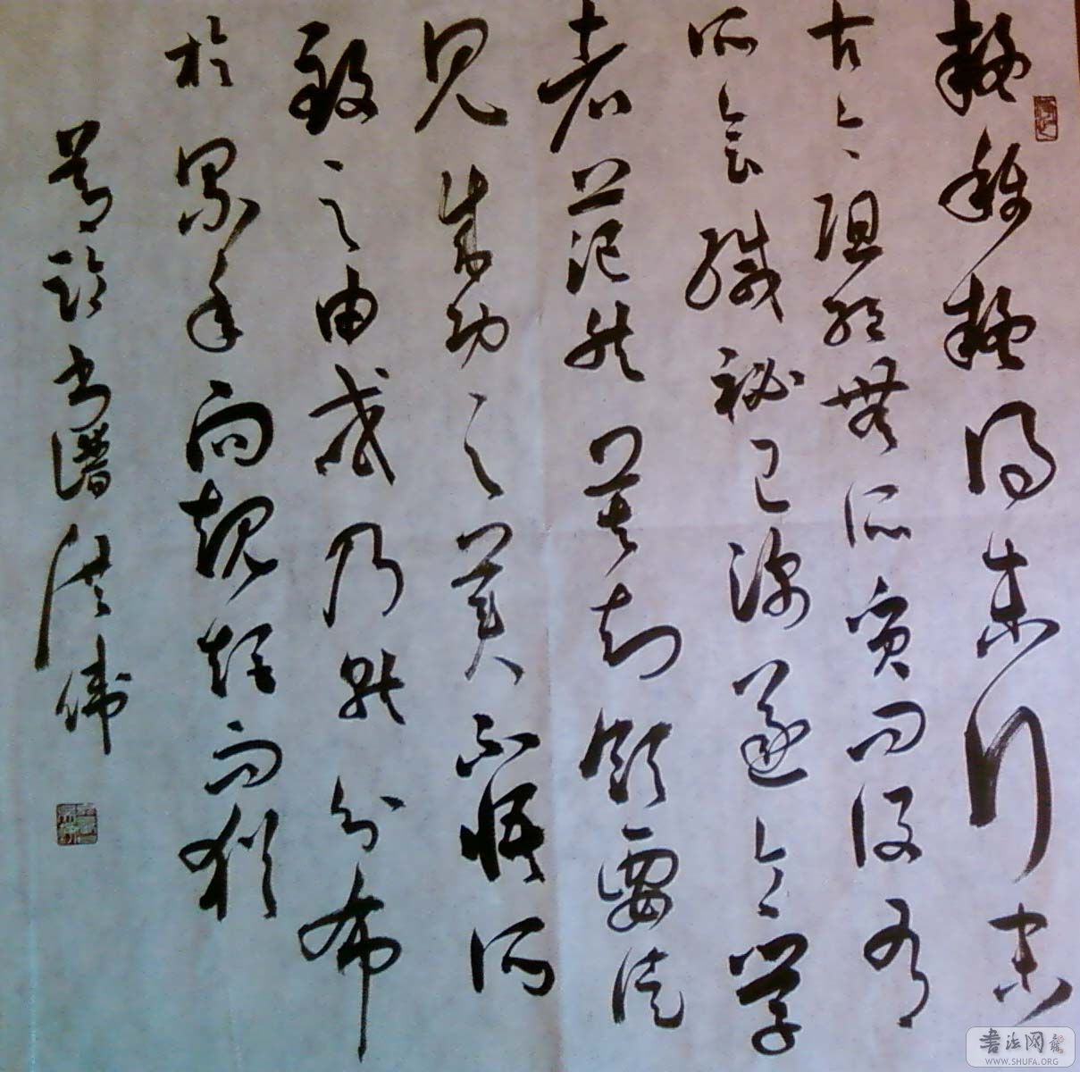SP_A0108.jpg