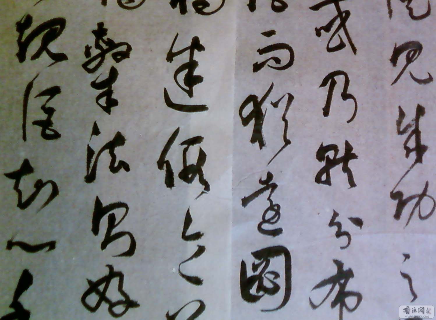 SP_A0105.jpg