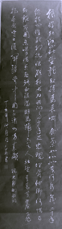 SUC56945.jpg