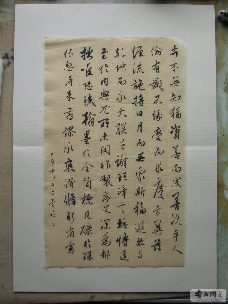 DSCN7513.jpg