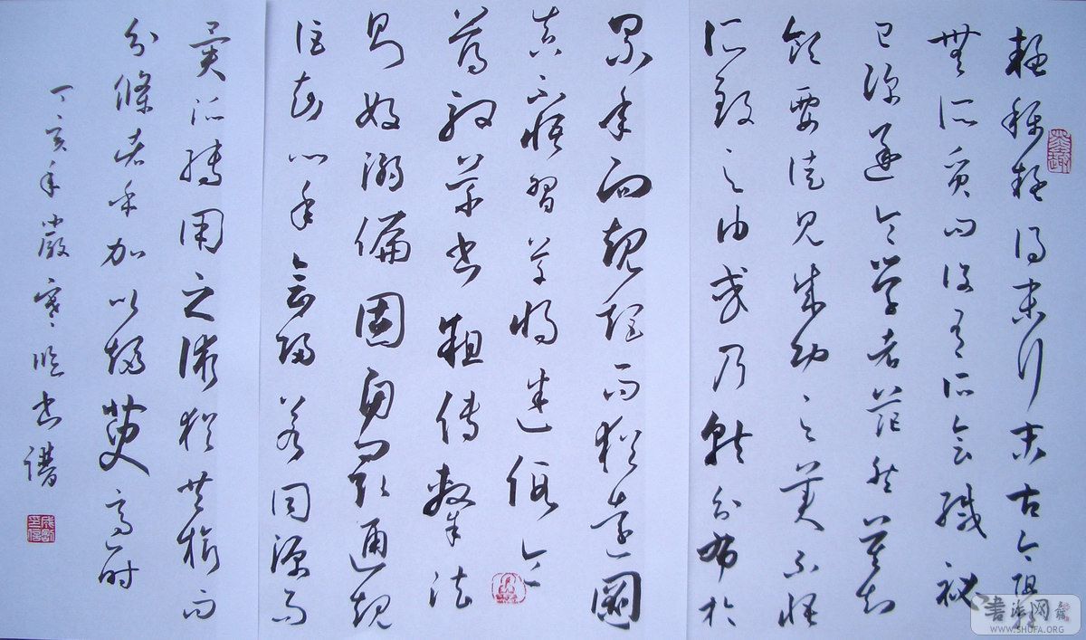 CIMG8112.JPG