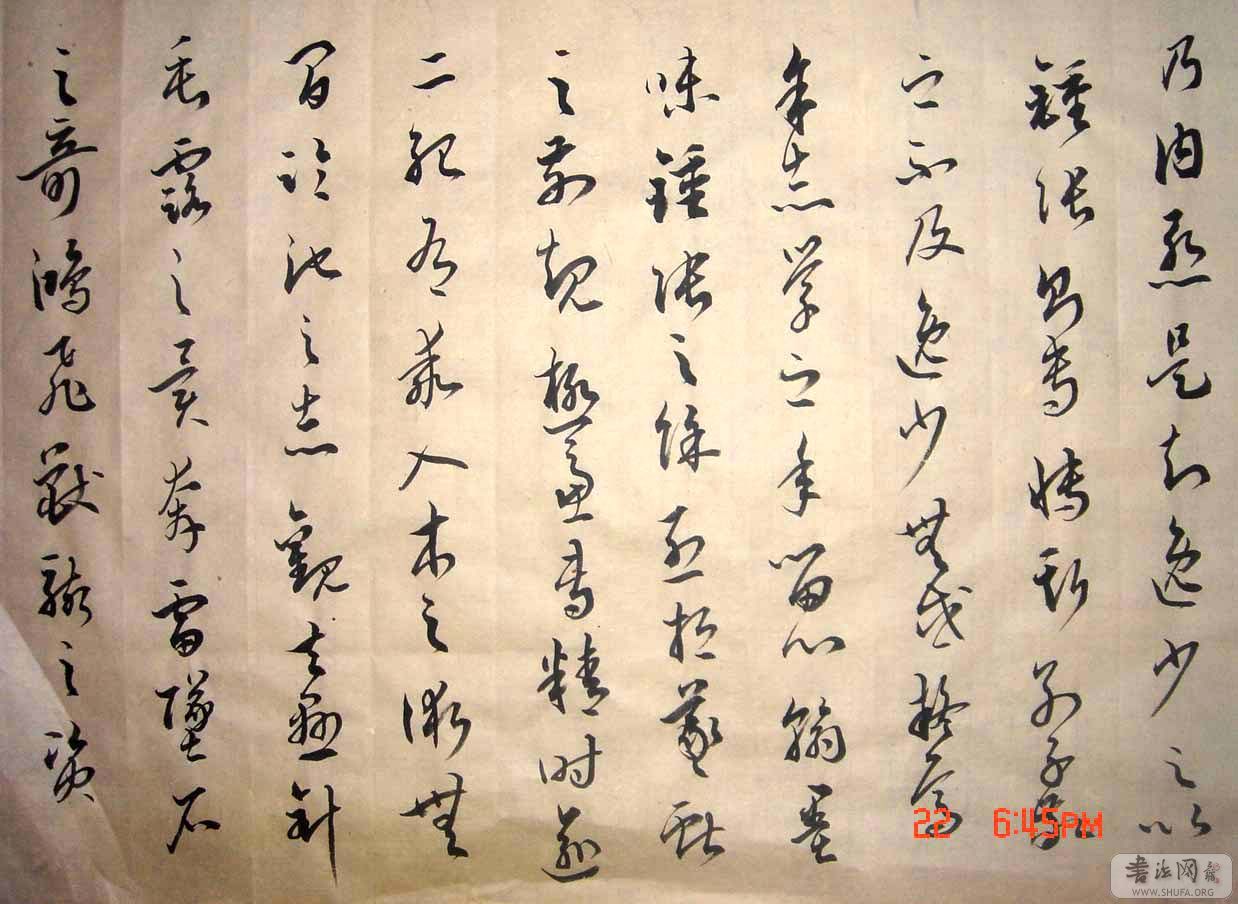 77.jpg