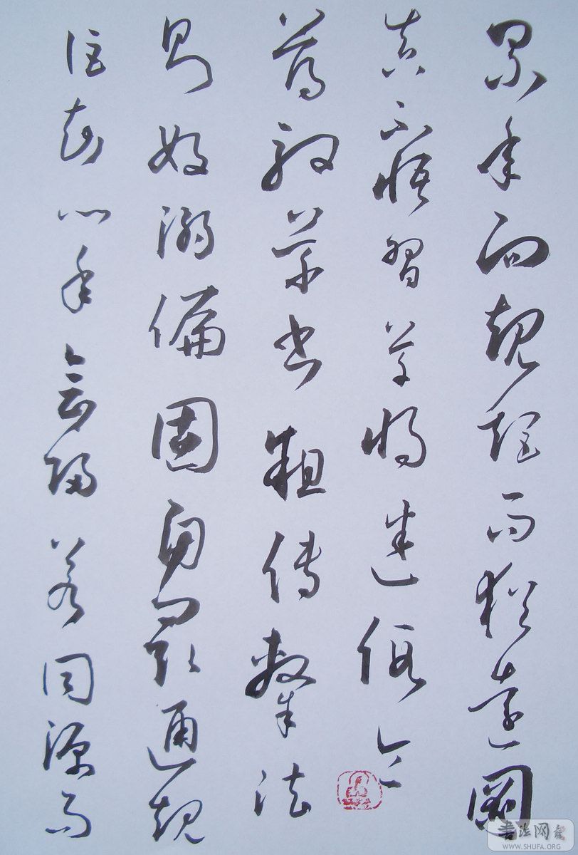 CIMG8114.JPG